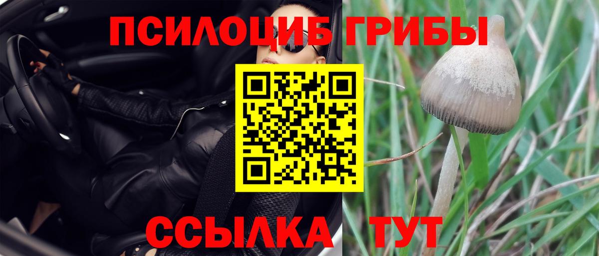 Галлюциногенные грибы мухоморы Торжок